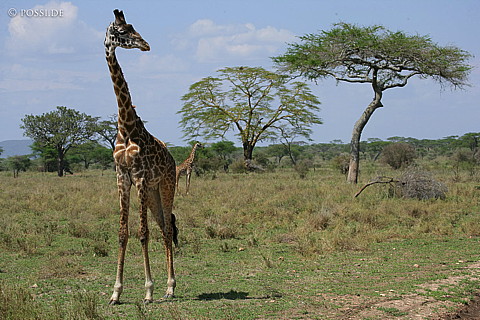 060303-3633.jpg