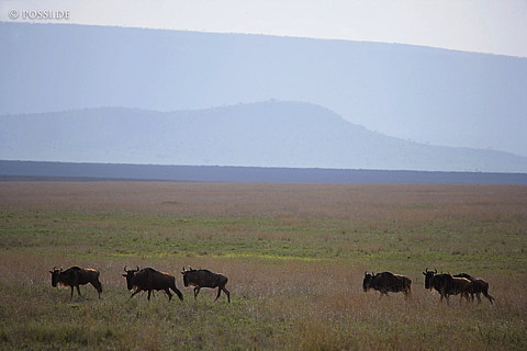 060303-3698.jpg