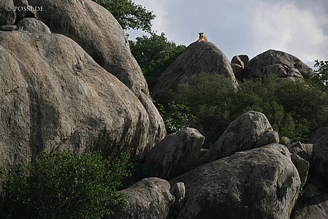 060303-3709.jpg