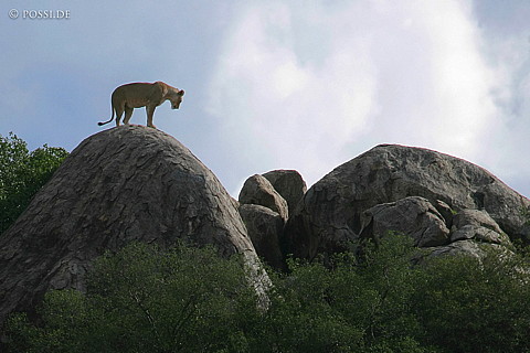 060303-3711.jpg