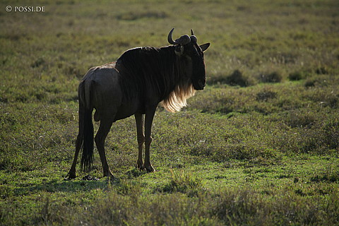 060303-3771.jpg