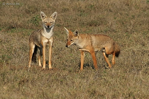 060303-3787.jpg