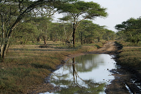 060303-3827.jpg