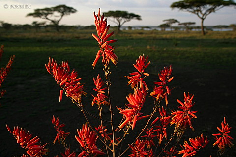 060303-3852.jpg