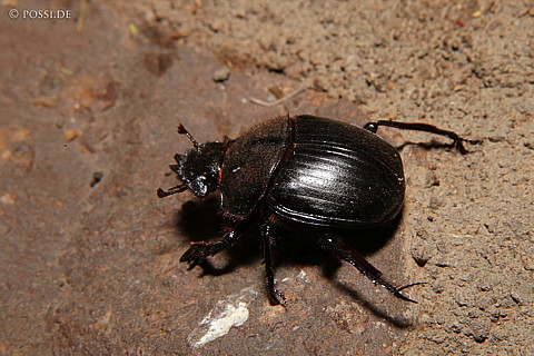 060303-3920.jpg