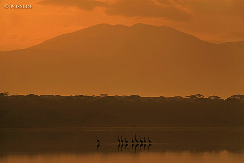 060304-3979.jpg
