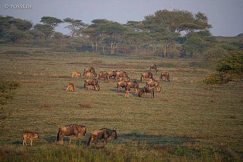060304-3983.jpg