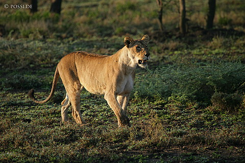 060304-4057.jpg