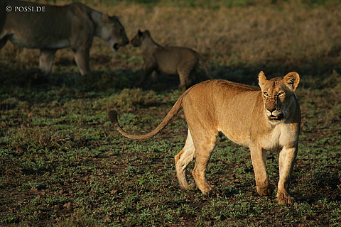 060304-4076.jpg