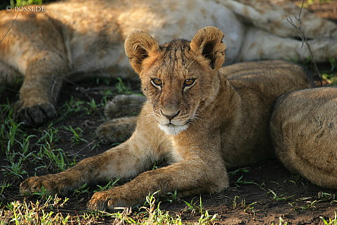 060304-4264.jpg