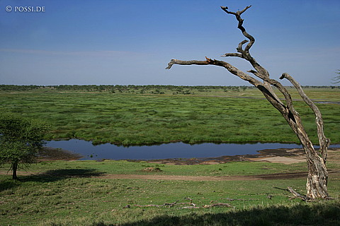 060304-4336.jpg