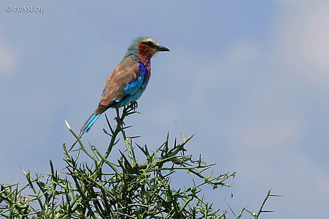 060304-4361.jpg