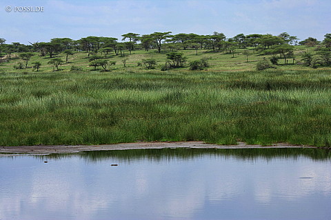 060304-4362.jpg