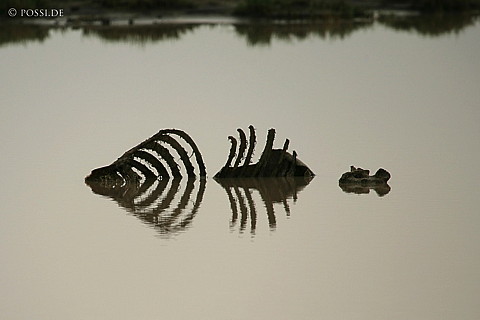 060305-4753.jpg