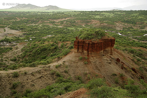 060305-4904.jpg