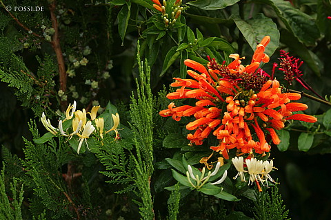 060305-4922.jpg