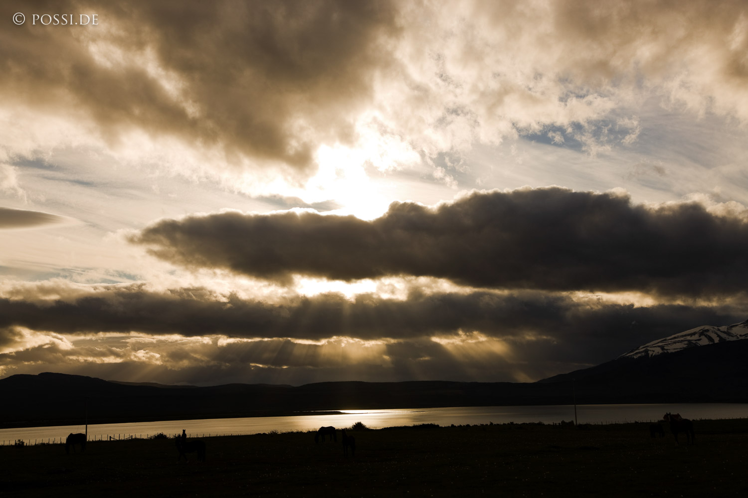 081123-3650.jpg