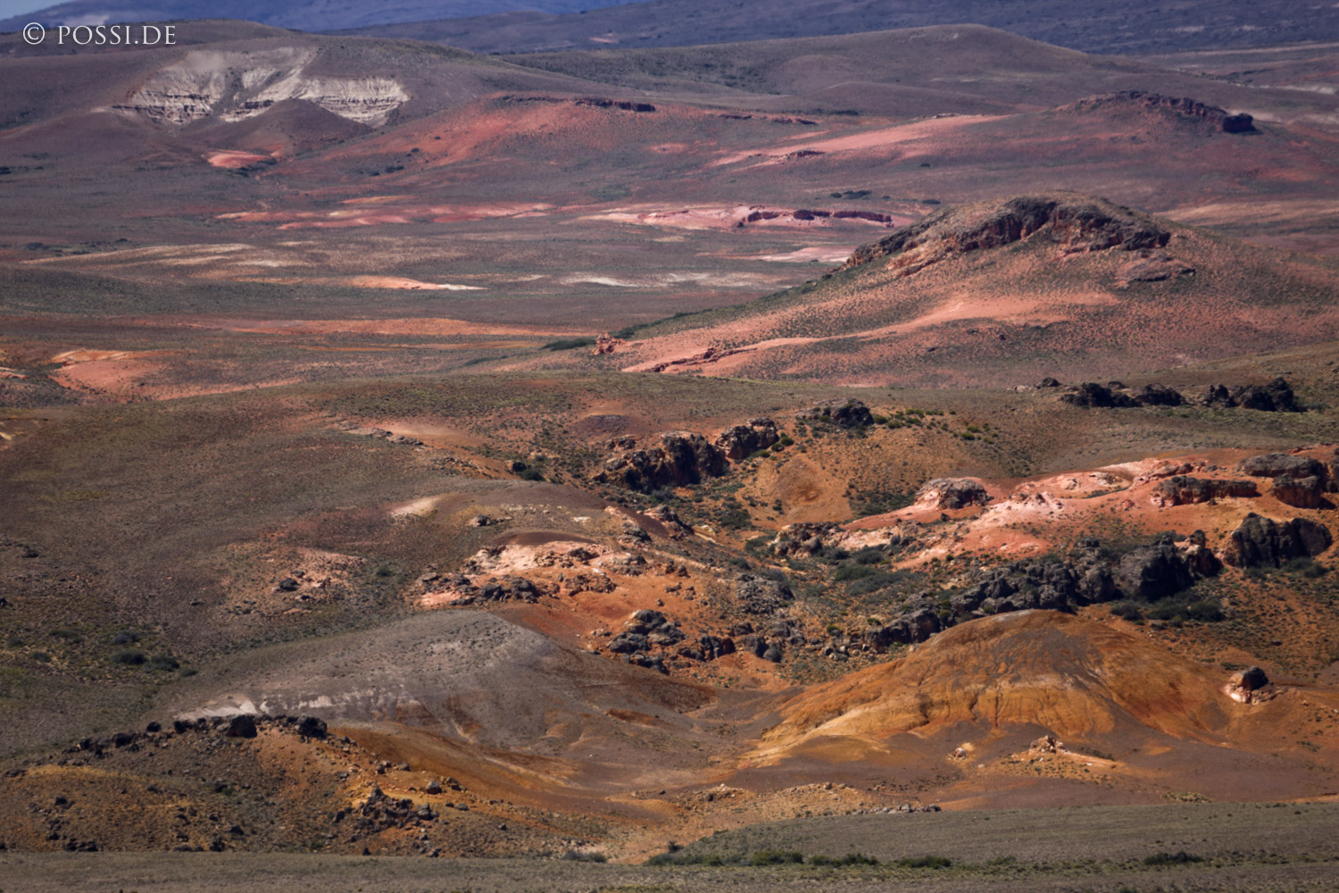 081201-5303.jpg