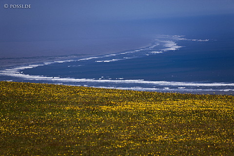 081109-0074.jpg