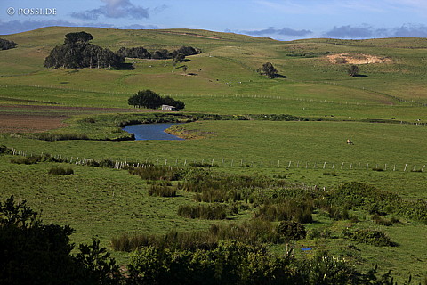081110-0138.jpg
