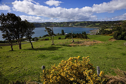081114-0868.jpg