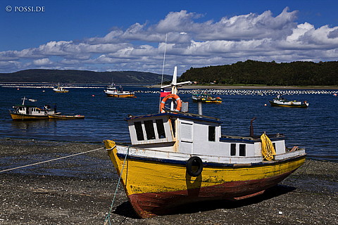 081114-0913.jpg