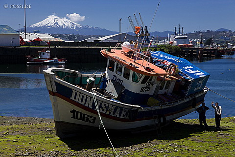 081115-0997.jpg