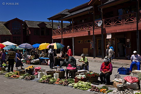 081115-1020.jpg