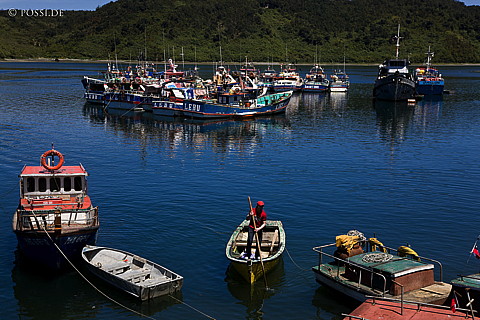 081115-1028.jpg
