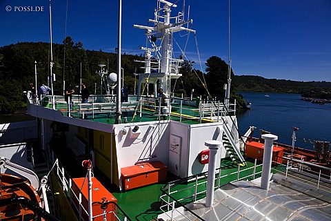 081115-1037.jpg