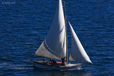 081115-1060.jpg