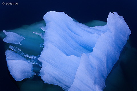 081117-1146.jpg