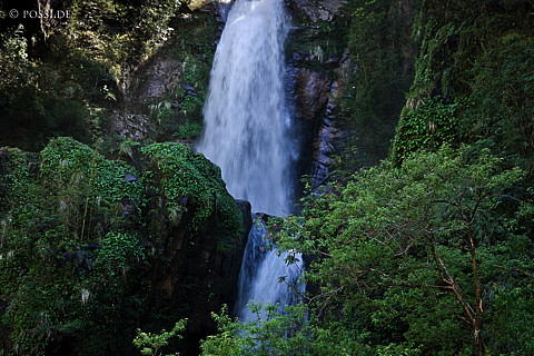 081118-2266.jpg