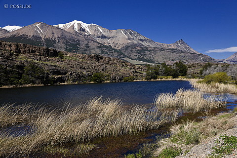 081118-2279.jpg