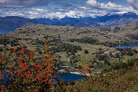 081119-2682.jpg