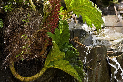 081119-2734.jpg