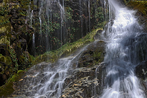 081121-3105.jpg