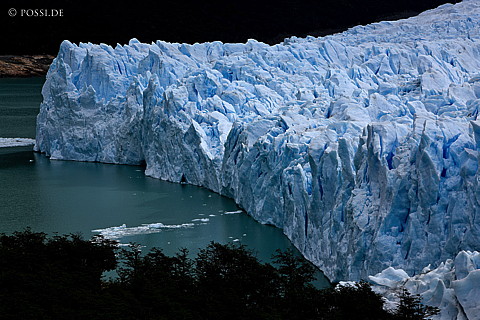 081121-3226.jpg