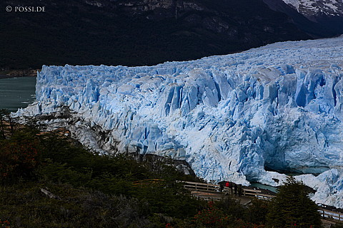081122-3271.jpg
