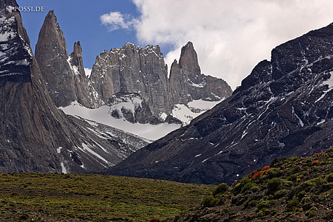 081123-3411.jpg