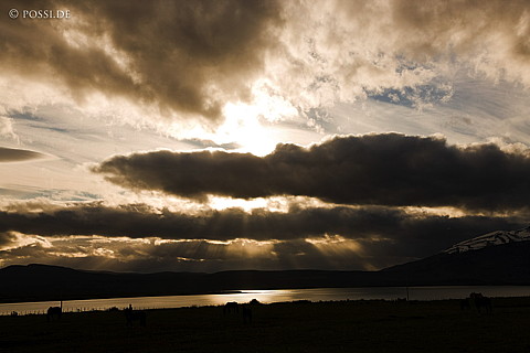 081123-3650.jpg