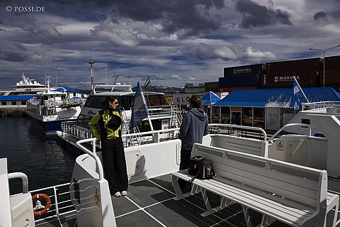 081125-3803.jpg