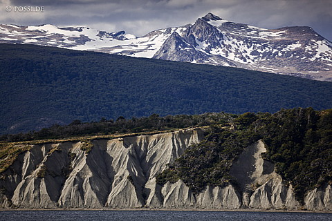 081125-3949.jpg