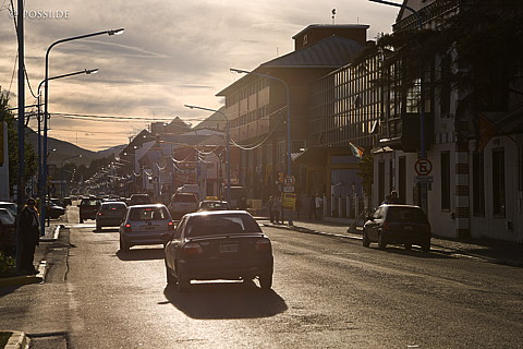 081125-4132.jpg