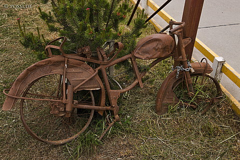 081127-4281.jpg