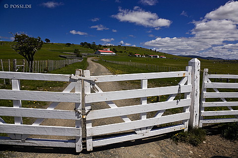 081128-4401.jpg