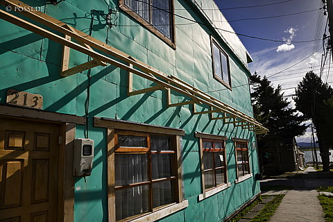 081128-4411.jpg