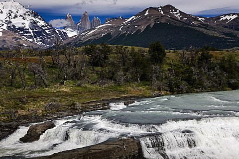081130-4809.jpg