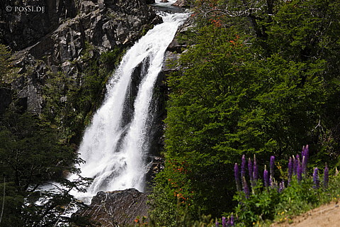 081204-5696.jpg