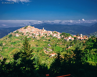 100427-0032.jpg